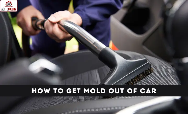 How To Get Mold Out Of Car